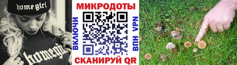 купить наркотики цена Иннополис Псилоцибиновые грибы Psilocybine cubensis